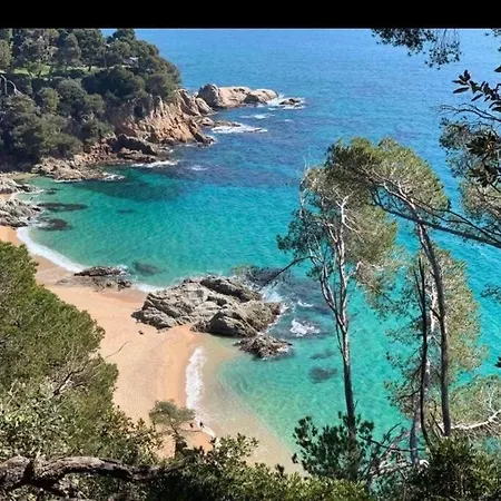 Lejlighed Seahomes Vacations - Acacias Beach&chic