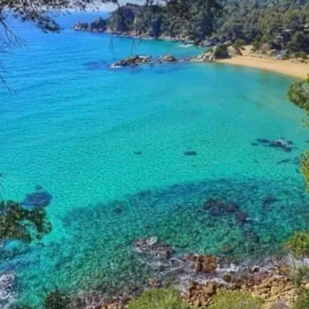 Seahomes Vacations - Acacias Beach&chic דירה *