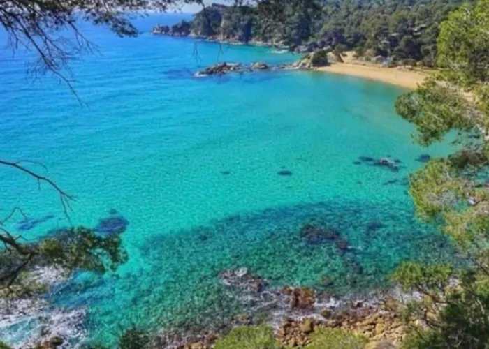 Seahomes Vacations - Acacias Beach&chic Διαμέρισμα *